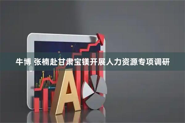 牛博 张楠赴甘肃宝镁开展人力资源专项调研