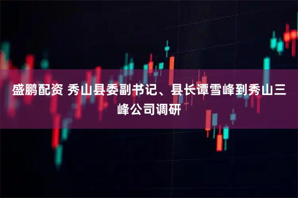 盛鹏配资 秀山县委副书记、县长谭雪峰到秀山三峰公司调研